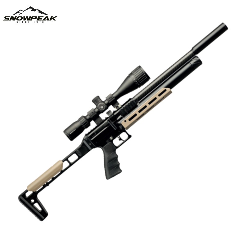Snowpeak-AP900